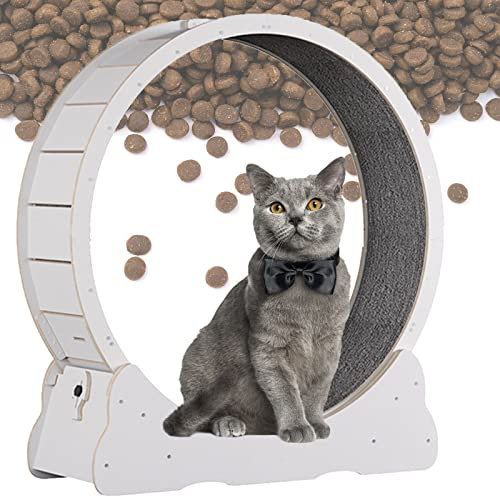 Katzenrad, Laufen, Drehen und Kratzen, Katzenrad, natürliches Holz, Katzenrad, Spinnrad für Indoor-Katzen, Haustier-Laufband, Spielzeug, Weiß, Größe S