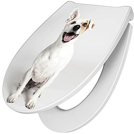 banjado Premium Toilettendeckel mit Absenkautomatik 45x38,4cm / WC Brille Soft Close/hygienischer Toilettendeckel/Klodeckel Duroplast mit Edelstahl Scharnier/Motiv Derek