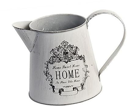 Ciieeo 2pcs Iron Kettle Flower Pot Dried Flower Bucket Watering Can Home Decor for Grey Vase