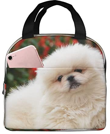 XVBCDFG Bolsa de almuerzo para perros Pomerania de pelo corto para oficina al aire libre, papel de aluminio portátil, aislamiento grueso y bolsa Bento para m