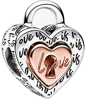 Rimgoris 925 Sterling Silver Charm for Women Bracelets Necklace Travel Passport Travel Camera Compass Battery Life Car&Helmet Airplane Globe Suitcase Dangle Charm Gift