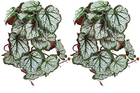 Lot de 2 plantes de reptiles pour terrarium, plantes artificielles suspendues avec ventouses, décoration d'habitat de réservoir d'amphibiens, plante en plastique, décorations de (Where root leaves)