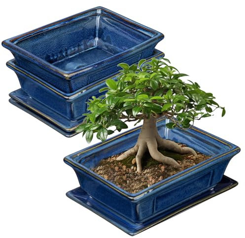 2er-Set Bonsai Keramiktopf Bonsaischale mit Untersetzer und Entwässerungslöchern für Japanische Bonsai Zimmerpflanzen, Retro-Dekoration für Gartenbehälter-Sets im Freien, Durchmesser Öffnung 19cm