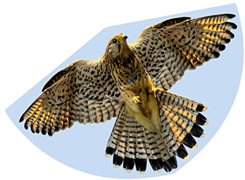 GÜNTHER FLUGSPIELE 1230 - Aquilone per bambini con motivo a falco, aquilone a linea singola in robusto foil di PE, per bambini a partire da 4 anni, dimensioni circa 92 x 62 cm