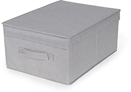 Compactor Scatola Portaoggetti Pieghevole Con Coperchio, Polipropilene Non tessuto e Cartone, 30 x 43 x 19 cm, Gamma Boston, Grigio, RAN10906