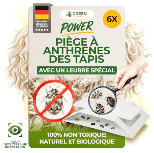 GREEN GUARDIA Lot de 6 pièges à coccinelles avec attractif spécial - Respectueux de l'environnement - Sans produits chimiques - Avec surface adhésive forte, non toxique et sans odeur