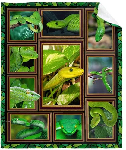 Snake Blanket for Adults and Kids - Soft Flannel Plush Throw for Snakes Lovers and Home Decor for Bed, Couch, Outdoor Camping - 80X 60-L
