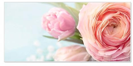 banjado Magnettafel weiß 78 x 37cm / Magnetwand Metall/Magnetpinnwand als Memoboard/Pinnwand Magnettafel Küche, Büro, Kinderzimmer inkl. 4 Magnete & Montageset - Motiv Rosa Tulpe