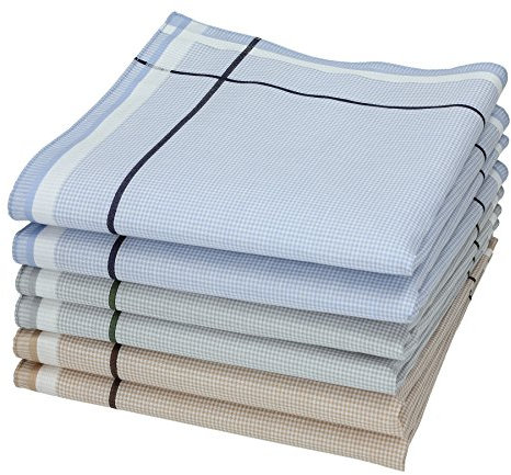 Betz 6 Stück Taschentücher Herrentaschentücher Stofftaschentücher Damen- Männertaschentücher 100% Baumwolle Größe 40x40 cm - Leo 5 Dessin 2