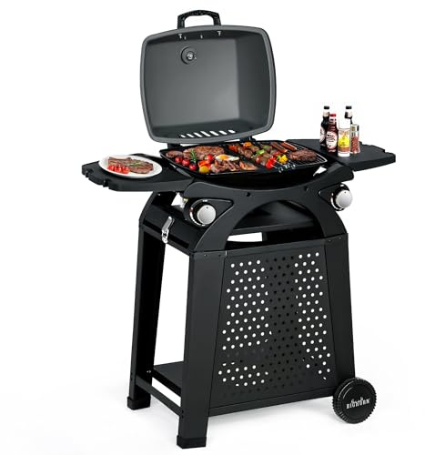 Gas BBQ Portable Outdoor Gas Barbecue Table Top Barbecues BIG HORN OUTDOORS 2 IN 1 Propane Grill with Cart Wheels Side Table for Camping