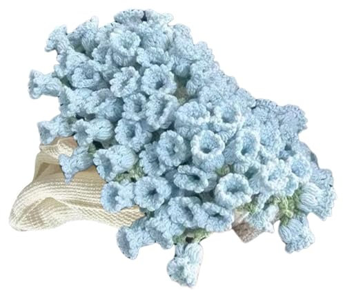 LAIOUSN Suministros de manta de ganchillo para principiantes aficionados al ganchillo, incluye instrucciones paso a paso para hilos, gancho, manta de flores de rosa