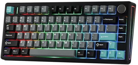 EPOMAKER TH80 V2 75% Wireless Mechanical Keyboard with Metal Knob, 8000mAh, 2.4Ghz/BT/USB-C, RGB, Hot Swap, Custom Driver, PBT Keycap, Wireless Gaming Keyboard for PC/Mac (Black, Creamy Jade)