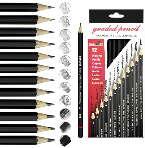 auriikoop Bleistift Set, 12 Stück Zeichenstifte, 2H H F HB B 2B 3B 4B 5B 6B 7B 8B, Professionell Bleistift Set zum Zeichnen, für Künstler, Kinder, Erwachsene, Zeichnungen, Skizzieren Liebhaberin