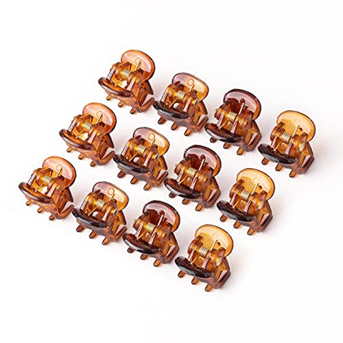 IERCZA Mini-Haarspangen,24 Stück Damen Haarklammern Kunststoff-Haarklammern, Haarspangen Kunststoff für Mädchen Frauen,1.5 cm Braun