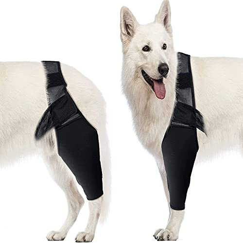 Fabater Ellenbogenschutz für Hunde, Ellenbogenbandage für Hunde, Ellenbogen- und Schulterstütze für Hunde, Kniebandage für Hunde bei Dysplasie, Arthritis, Dekubitus, Schulterluxation (L)