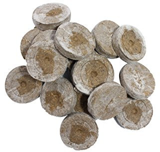 Weedness Pots de Tourbe Jiffy 50 pièce Boutures - Terre de Noix de Coco, comprimés de gonflement, Terre de lys, comprimé de Tourbe, Tomate, boutures