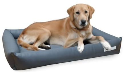 dogsfavorite, Hundebett Starter aus Kunstleder, Hundekissen, Pflegeleicht,110 x 80 cm, grau