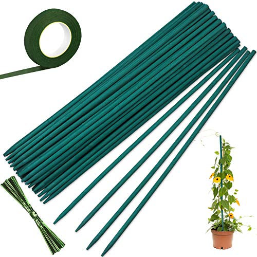 Reastar Pflanzenstäbe 50 Stück Pflanzenstützen Grüne Pflanzstäbe Tomatenstäbe mit 27cm Floristenband - für Haus Garten Kletterpflanze Erweiterung der Pflanzenstütze (11.8in/30 cm)