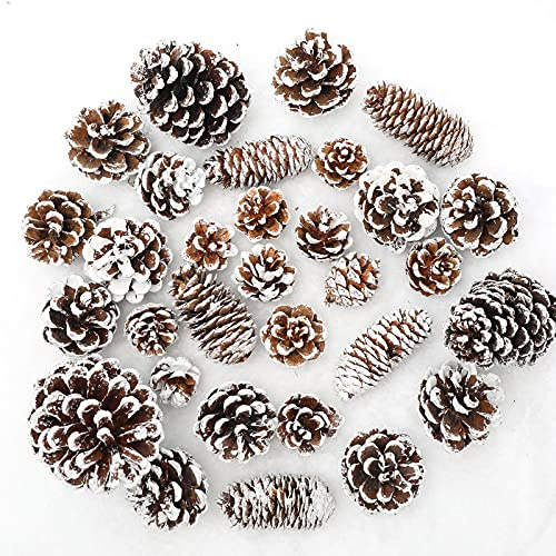 Whaline 43pcs Christmas Pine Cones Natural Snow Pinecones Xmas Tree Ornament Garland Wreath DIY Crafts Decorations for DIY Crafts Xmas Winter Holiday Party Home Decor