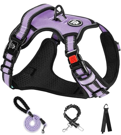 NESTROAD Hundegeschirr Set für große Hunde Größe XL Hellviolett | Anti-Zug gepolstertes Set mit Brustgeschirr, Hundeleine und Autosicherheitsgurt,Halsumfang: 43–64 cm, Brustumfang: 53–89 cm