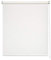 Easydeco - Tenda avvolgibile Daylight traslucida (bianco, 160 x 250 cm)