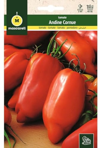 Mascarell Semillas, TOMATE, Semillas Huerto, TOMATE ANDINE CORNUE, Crea tu Propio Huerto Urbano y Cultivo en Casa, Plantas Hortícolas, 0,1 Gramos