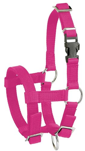 Kerbl Alpaka-Halfter, verstellbar – Pink (Abmessung 17 x 18 x 4,5 cm, Gewicht 0,1 kg, Material 20 mm Polypropylen) 27184