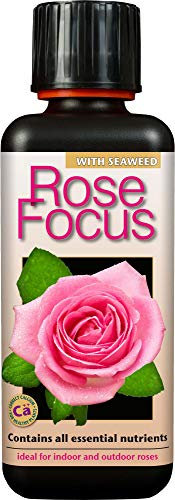 Growth Technology 05-210-260 300 ml Rose Focus Unique Liquid Concentrated Fertiliser - Black
