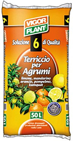Vigor Plant Terriccio per Agrumi Limone Mandarino Arancio Pompelmo - 45 lt - Terriccio universale per Agrumi