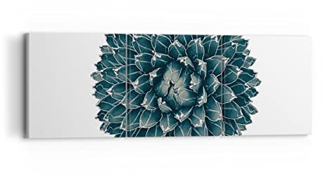 Moderne Impression sur Toile Agave Reine Victoria Image Tableau Decoration Murale 90x30cm Deco Cadre Décoration Salon Chambre Triptyque 3 parties Tableaux Decoratifs Muraux Art Wall CA90x30-4129