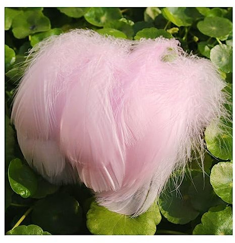 Yurosiay 100 Stück Bunt Federn Natürliche Federn Handwerk Gänsefeder Bunt Federn Deko Federn zum Basteln Flaumfedern Bastelfedern Deko für DIY Ohrring Kopfschmuck Traumfänger 6-12cm Lila-rosa