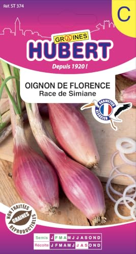 Graines d'oignon de Florence Race de Simiane - 3 grammes | Semences Reproductibles & Non Traitées