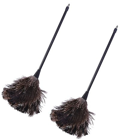 Beaupretty Recharges pour Plumeaux en Autruche Naturels Compatibles avec Les Plumeaux à Manche en Bois Faciles à Nettoyer