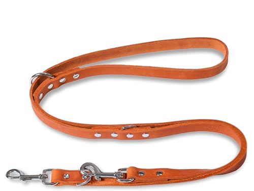FREUDENTIER Hundeleine Leder 2m - Lederleine verstellbar - Führleine aus Fettleder für kleine, mittelgroße & große Hunde - Alsterufer Kollektion (Sunset Orange, 16mm breit)