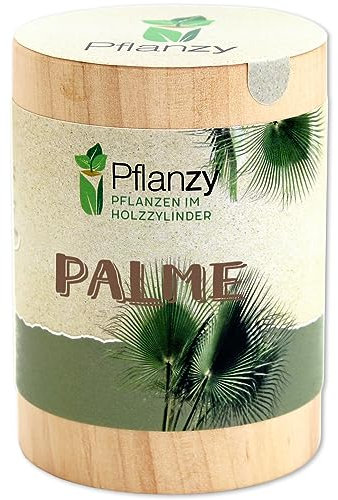Feel Green Pflanzy Palme, Nachhaltige Geschenkidee (100% Eco Friendly), Grow Your Own/Anzuchtset, Pflanzen im Holzzylinder, Made in Austria, Holz