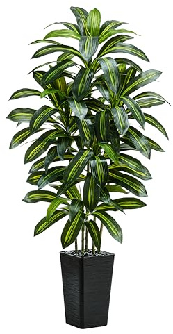 TNGGNT Artificial Plants Dracaena Tree 6FT, Large Artificial Plants Indoor with Black Tall Planter, Tall Fake Floor Plant in Pot Indoor Decor, Fake Dracaena Tree for Home Living Room Office Decor