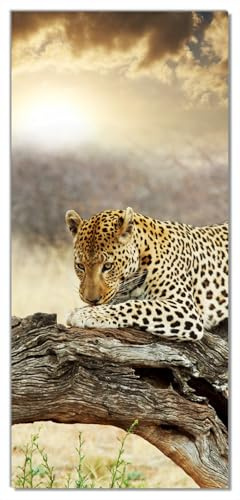 Wallario Selbstklebende Türtapete Leopard auf Baumstamm in Afrika - Türposter 93 x 205 cm Abwischbar, rückstandsfrei zu entfernen