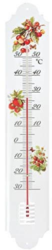 Verdemax 4461 Thermomètre en métal avec Fruits Fantaisie 500 x 90 mm