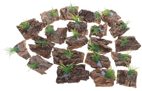FUTUREORYY 24 Pezzi Corteccia di Sughero Naturale per Terrari, Decorazione Habitat Rettili Substrato Sicuro, Sfondo e Nascondiglio per Draghi Barbuti, Camaleonti, Serpenti e