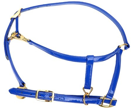 Fdit Brida de Caballo de 20 Mm, Correa de Doble Capa Reforzada Hermética de Cuero Sintético Brillante con Hebillas de Aleación de Zinc para Competiciones de Entrenamiento de la