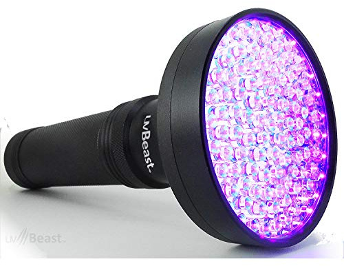 uvBeast UV Torch Black Light Flashlight – HIGH POWER 100 LED with 30-feet Flood Effect – Professional Grade 385nm-395nm Best for Commercial/Domestic Use Works Even in Ambient Light Designed in England