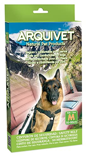 Arquivet Sicherheitsgurt/X - 50-80 cm