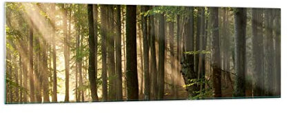 Bilder auf Glas 160x50cm Wandbild Glasdruck Botanik Landschaften - 3628