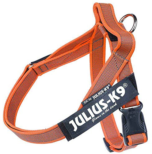Julius-K9 Arnes Band, Farbe & Grau, Größe: Mini, Orange, 1 Stück, 400 g