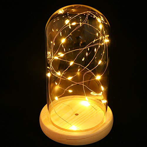 Uonlytech Glass Dome with Lights Clear Glass Dome Cloche with LED Fairy Lights for Rose Flowers Home Or Office Decoration