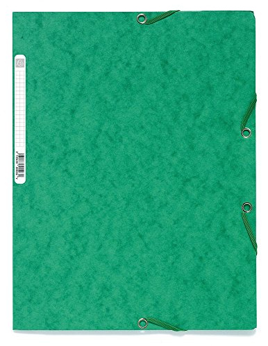 Exacompta 55503E - Carpeta con goma, A4, color verde