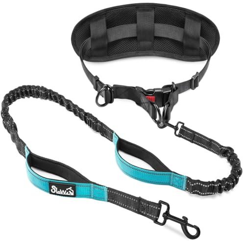 Eyein Joggingleine Hunde mit Bauchgurt, Freihändig Hundeleine mit Abnehmbare Gürteltasche, Reflektierende Laufleine mit stoßdämpfendem Bungee und Dual Griffe zum Joggen Laufen Wandern (M für 1 Hund)