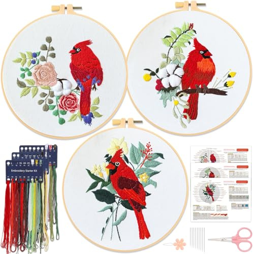JSRQT 3 Pezzi Kit di Ricamo Starter per Principianti Adulto Bambini Artigianato Artigianale Embroidery Mezzo Punto Croce Pratico Cross Stitch Iniziale Stampato Cucire Accessori Regalo (Uccelli)
