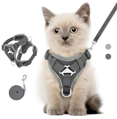 VavoPaw Ensemble Harnais et Laisse pour Chat Anti-évasion, Harnais Ajustable pour Chaton avec Filet Respirant, Bande Réfléchissante, Gilet de Sécurité Souple pour Chat, Chaton, Chiot, XS, Gris Foncé