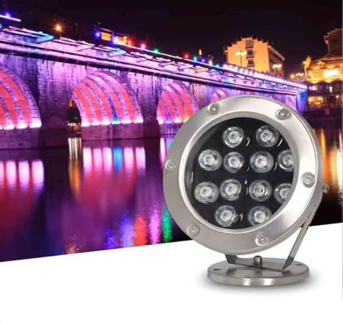 THEGA Lampada Subacquea Piscina, Luce LED sommergibile Fontana, Lampada RGB Subacquea Impermeabile IP68 per laghetto, Luce Giardino Bassa Tensione 24V, luci LED per Fontana,(Blue Light,18w)